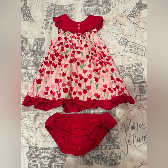 Gymboree Other - Gymboree 2012 Tulip Dress with bloomers 12-18 mos